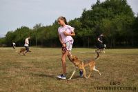 IMG_9848