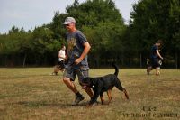 IMG_9851