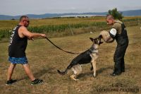 IMG_9889