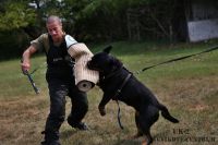 IMG_9965