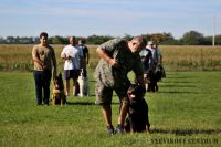 IMG_2377