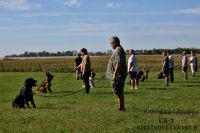 IMG_2378