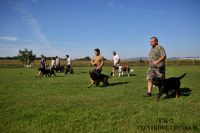 IMG_2399