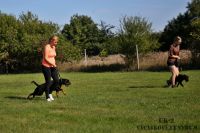 IMG_2464