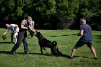 IMG_2482