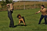 IMG_2502