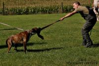 IMG_2525
