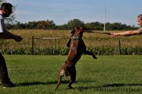 IMG_2527