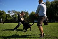 IMG_2574