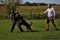IMG_2596