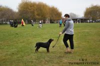 IMG_4066
