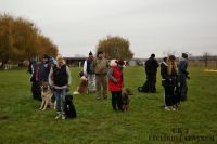 IMG_4101