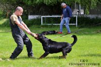 IMG_5463