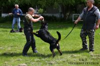 IMG_5484