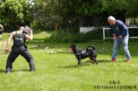 IMG_5490