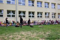 IMG_1027