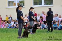 IMG_1104