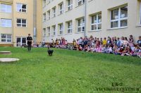 IMG_1132
