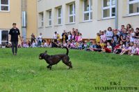 IMG_1134
