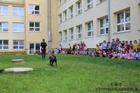 IMG_1135