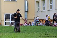 IMG_1136