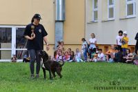 IMG_1137