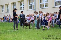 IMG_1146