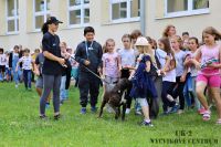 IMG_1147
