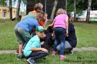 IMG_1176