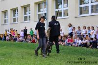 IMG_1231