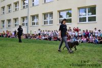 IMG_1233
