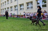 IMG_1237