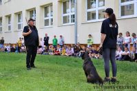 IMG_1241