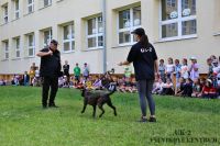 IMG_1245