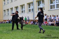 IMG_1246