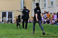 IMG_1254