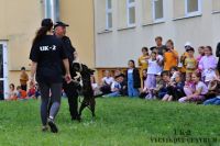 IMG_1257