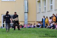 IMG_1280