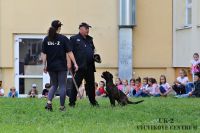 IMG_1290