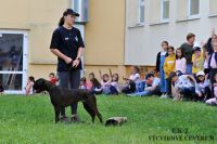 IMG_1325