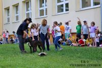 IMG_1343