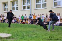 IMG_1351