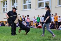 IMG_1355