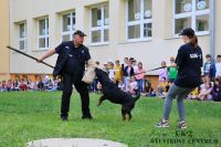 IMG_1358