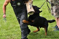 IMG_1471
