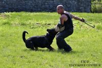 IMG_1621