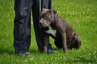 IMGP4959