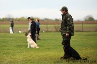 IMG_9186