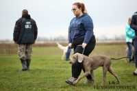 IMG_9322
