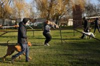 IMG_3229